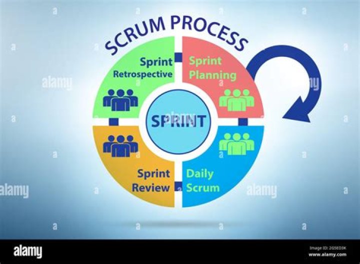 What are the phases of scrum