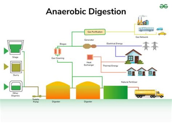 What are the products of anaerobic digestion