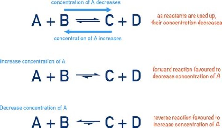 What are the reactants and products of catalase