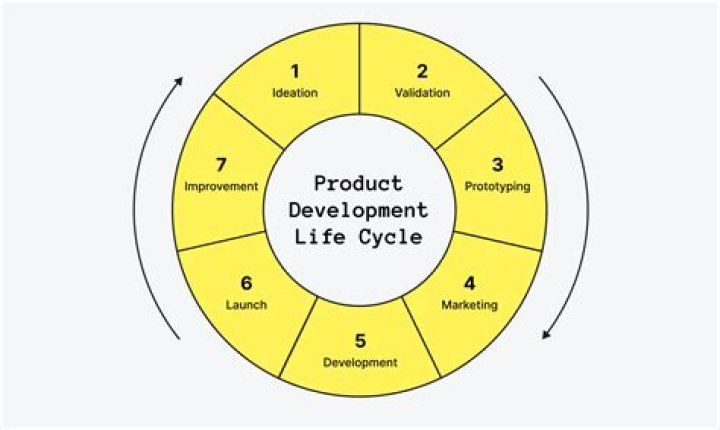 What are the stages of PDLC