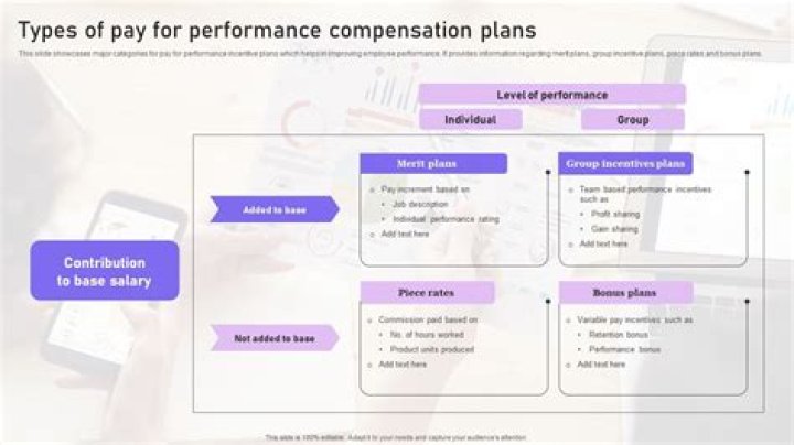 What are the types of pay for performance plans