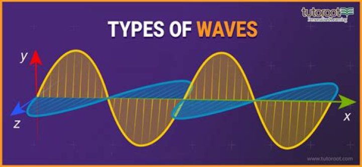 What are the types of waves in physics