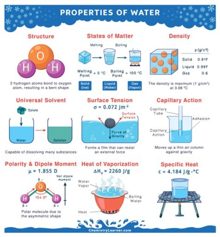 What are three properties of water that make it a good supporter of life