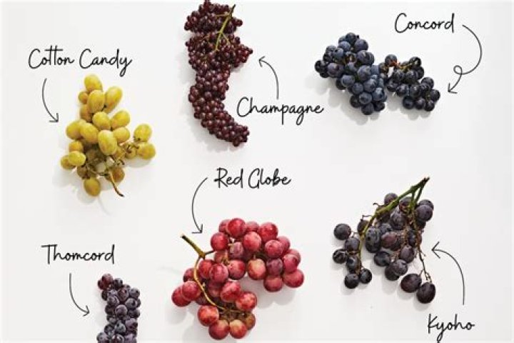 What are tiny grapes called