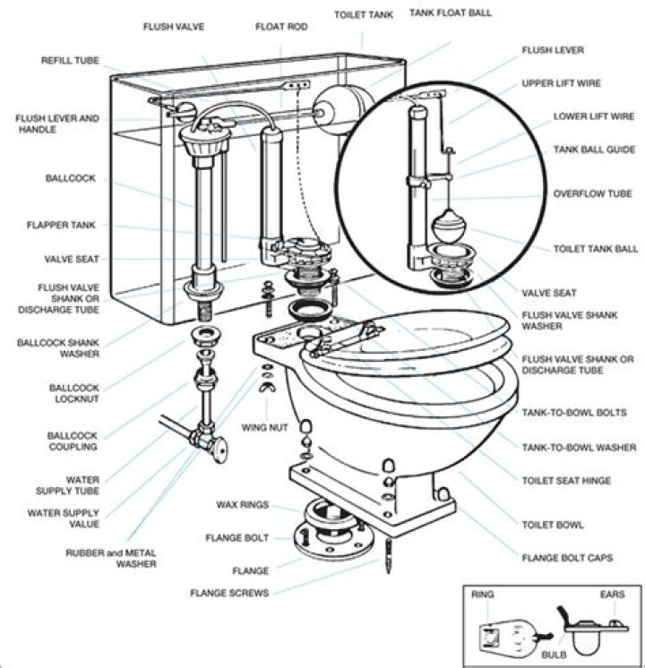 What are toilet guts called