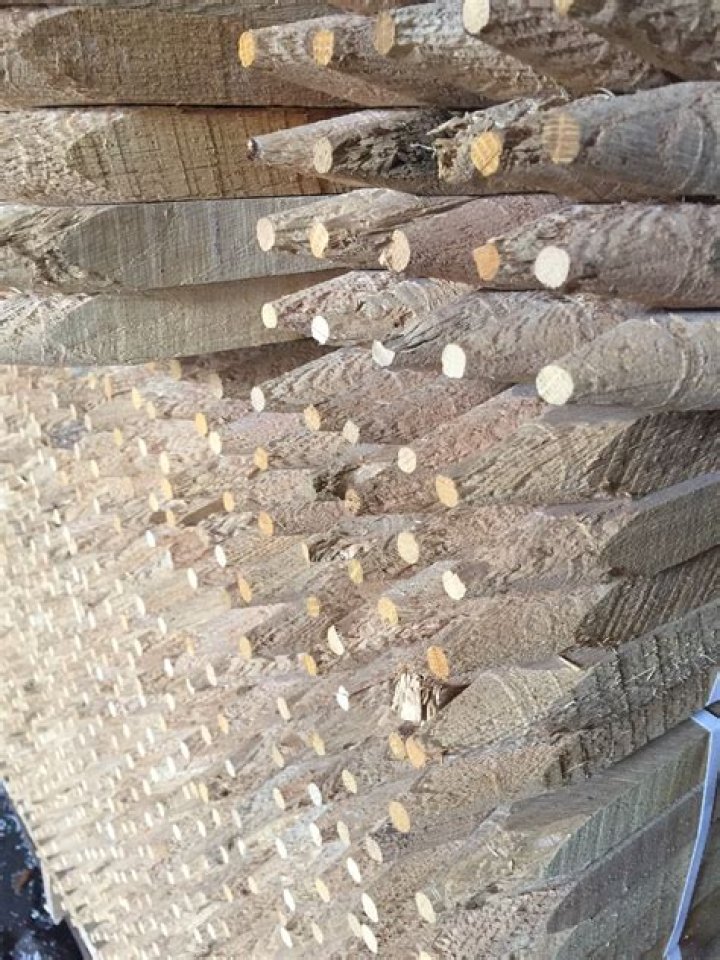 What are tree tubes made of