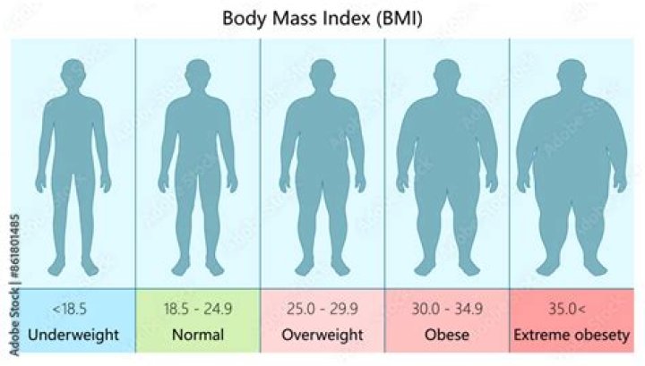What BMI is too underweight