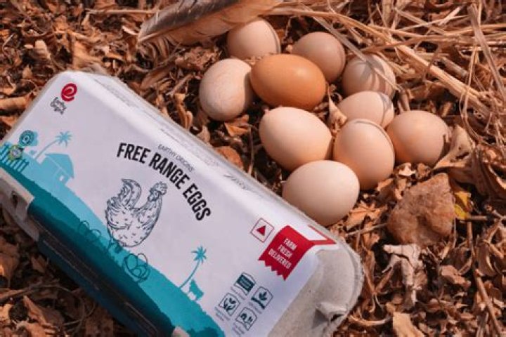 What brands are free range