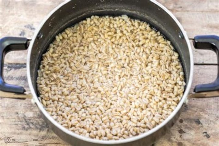What can barley be used for