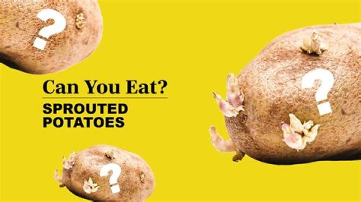 What can be sprouted to eat
