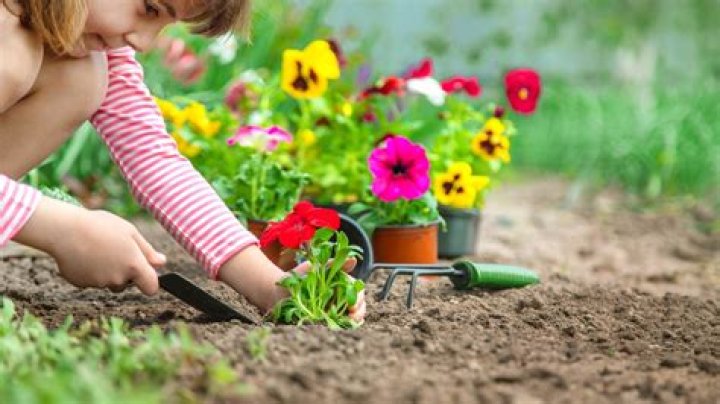 What can children plant