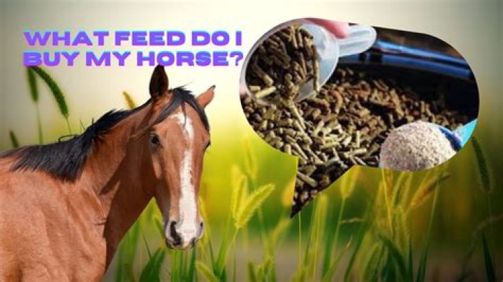 What can I feed Drift Roses