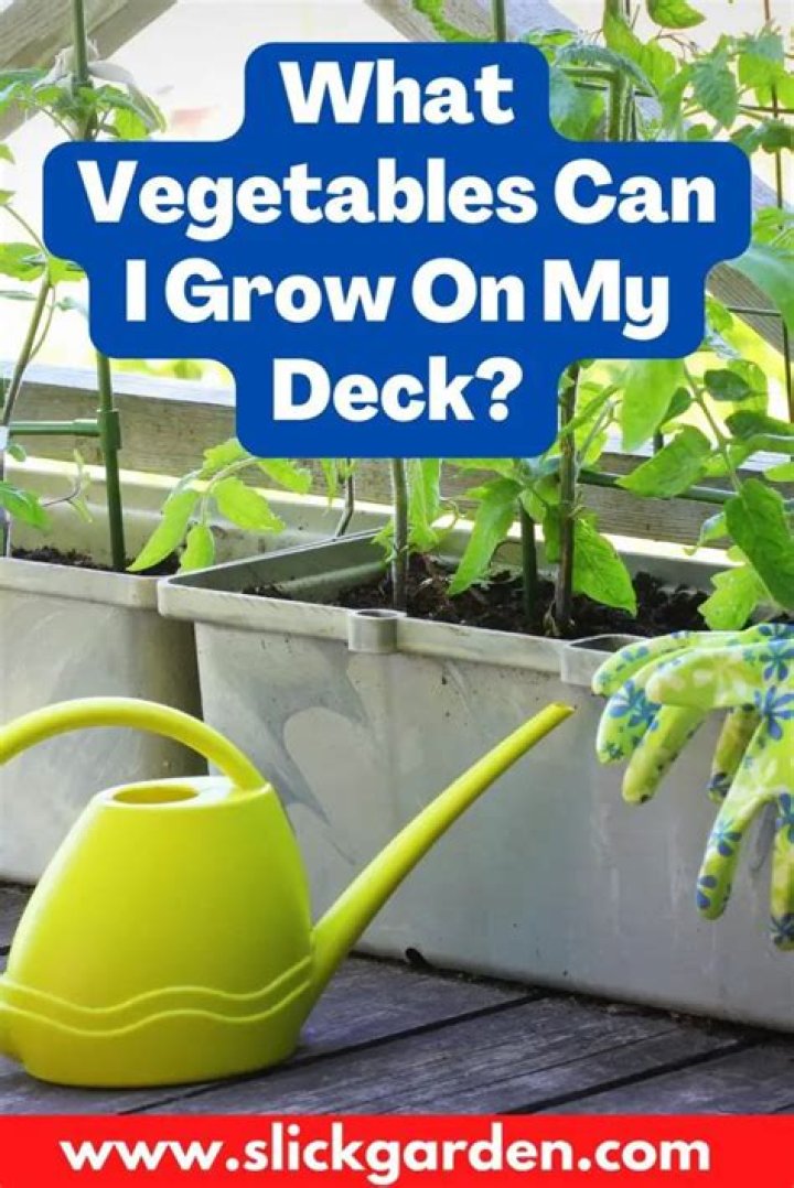 What can I grow on my patio