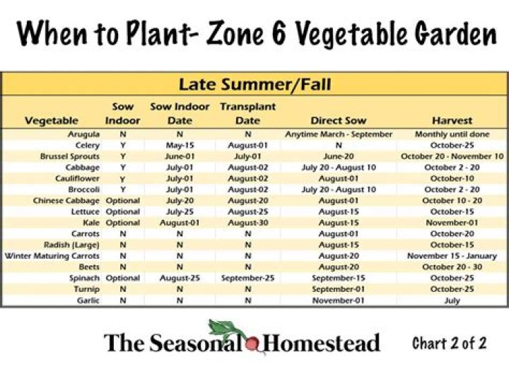 What can I plant in zone 6a