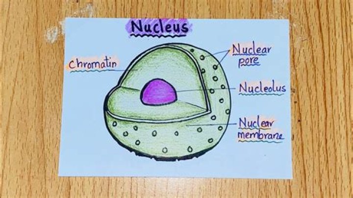 What can I use to represent a nucleus