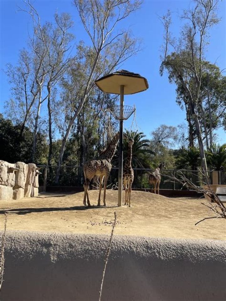 What can you bring into Oakland Zoo