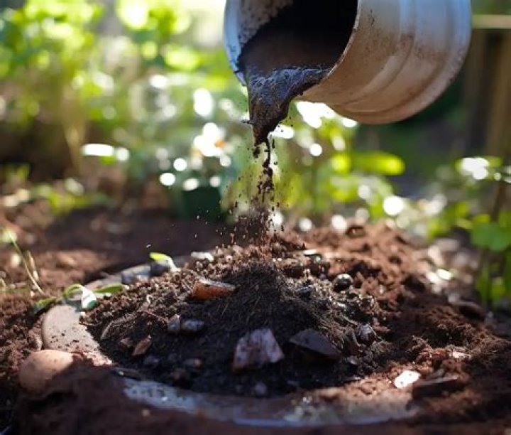What can you do with compost tea