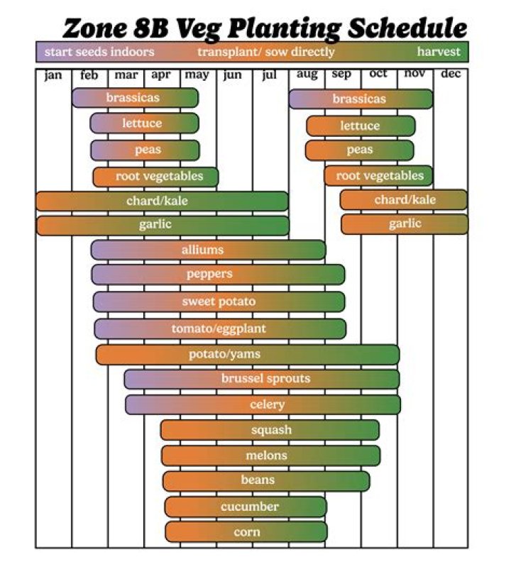 What can you grow in Zone 8