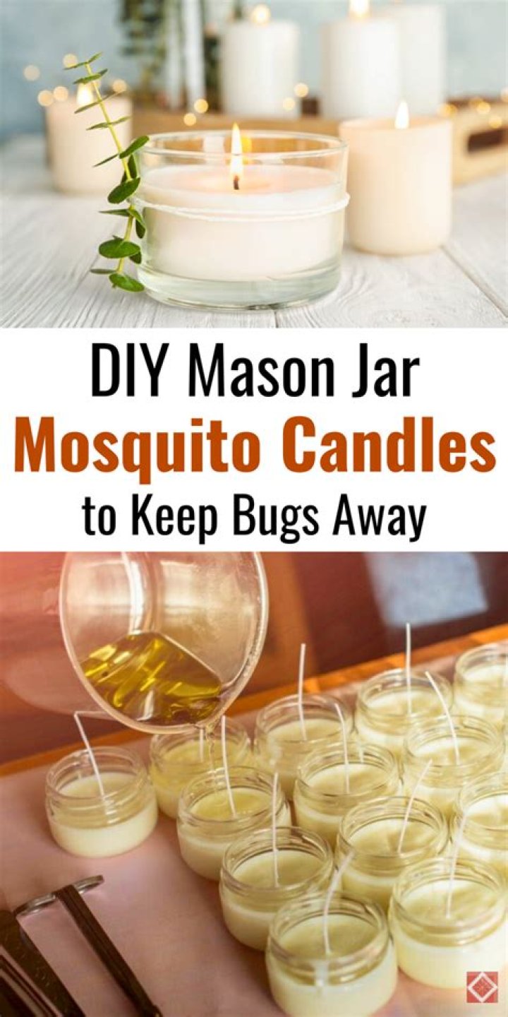 What candles keep bugs away