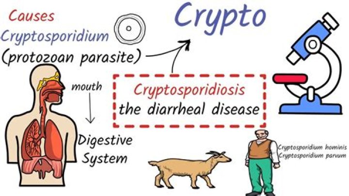 What causes cryptosporidium