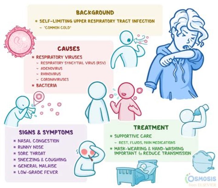 What causes nasopharyngitis