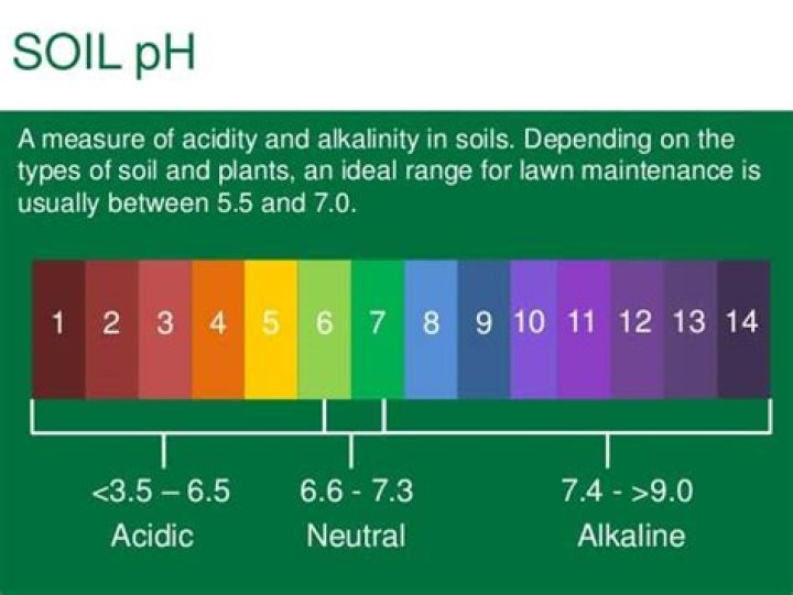 What changes the pH of soil