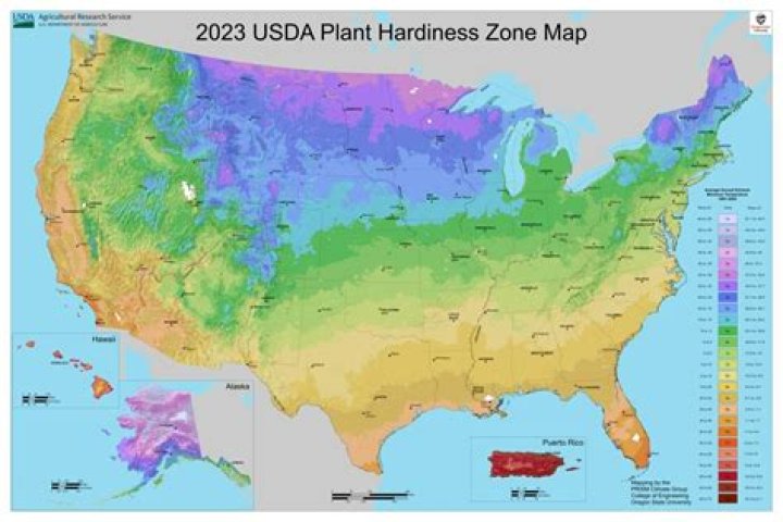 What climate zone is Tucson