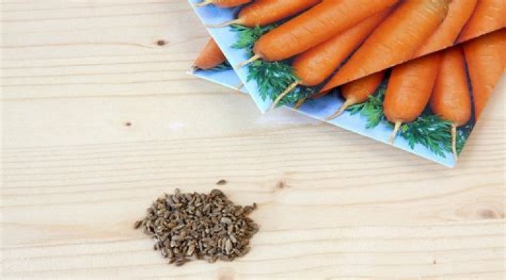What color is a carrot seed