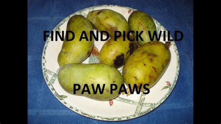 What color is a ripe pawpaw
