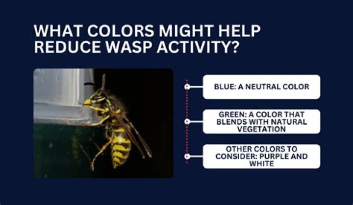 What color keeps Wasps away