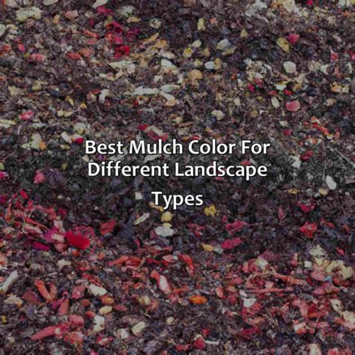 What color mulch is best to use