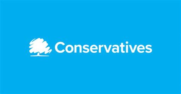 What Colour is conservative