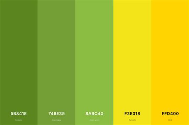 What Colour is yellow green