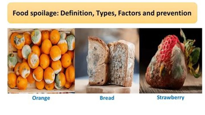 What defines food spoilage