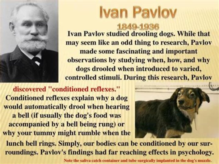 What did Ivan Pavlov die of