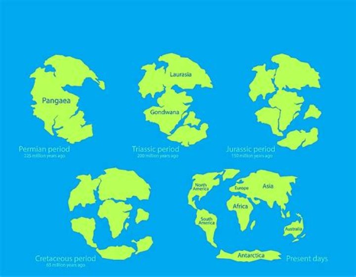 What did Pangaea split into