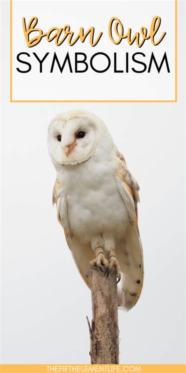 What do barn owls symbolize