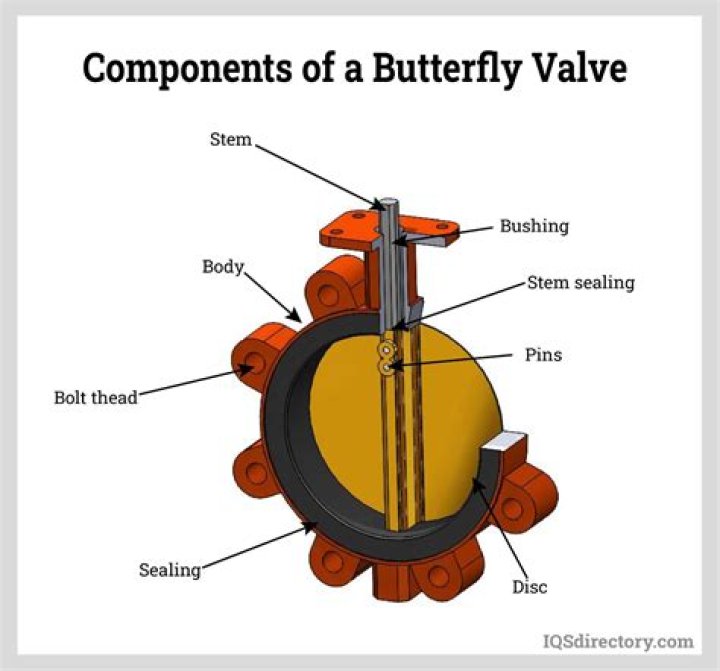 What do butterfly valves do