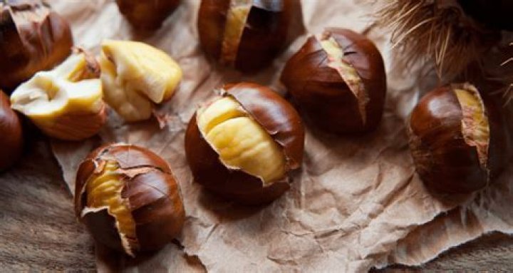 What do chestnuts look like