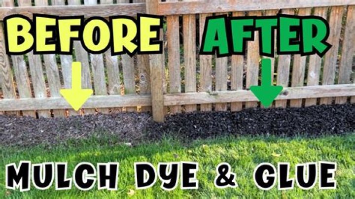 What do they dye mulch with
