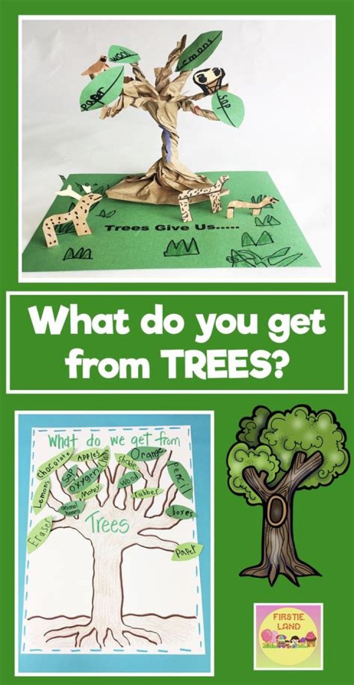 What do we know about trees