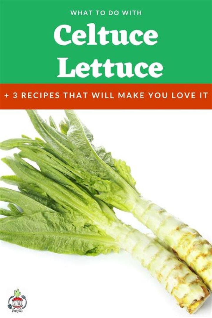 What do you do with Celtuce