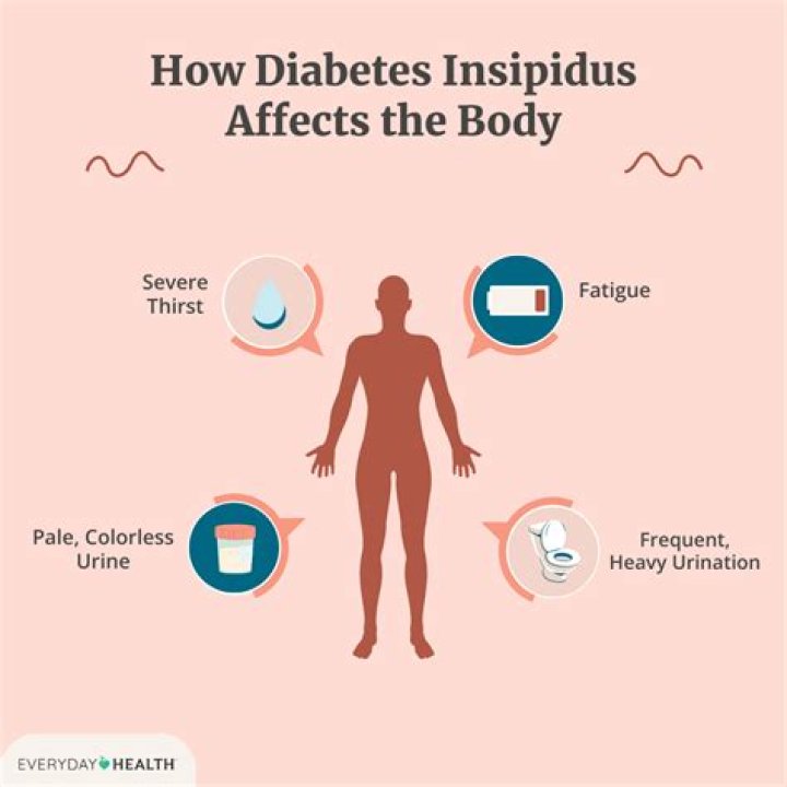 What do you mean by diabetes insipidus