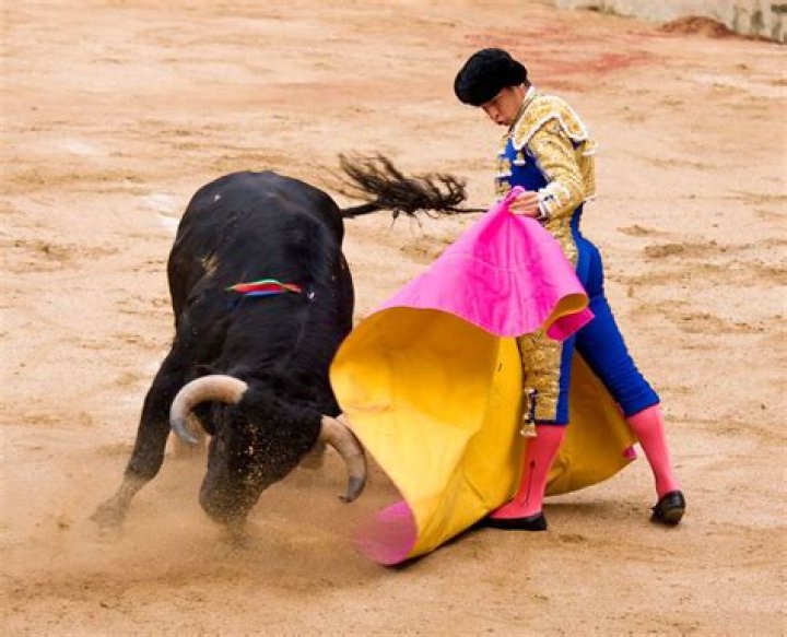 What does a bullfighter use