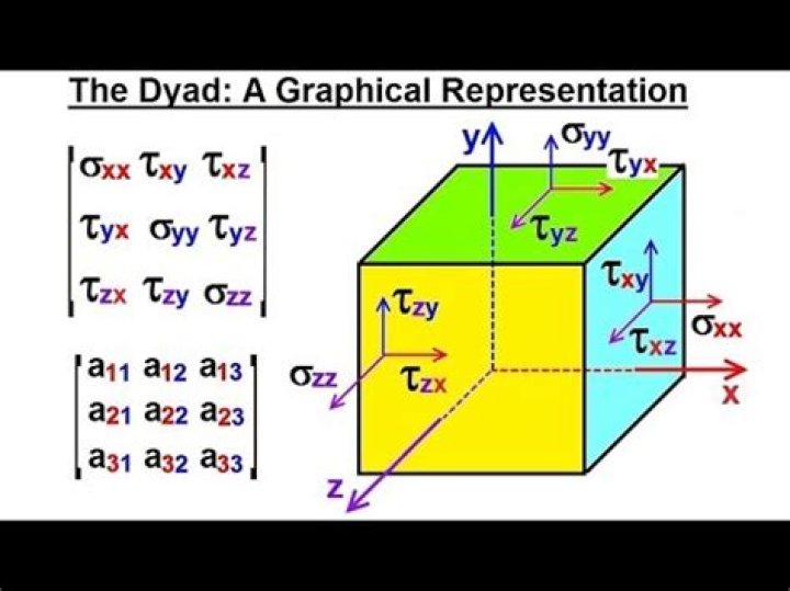 What does a dyad consist of