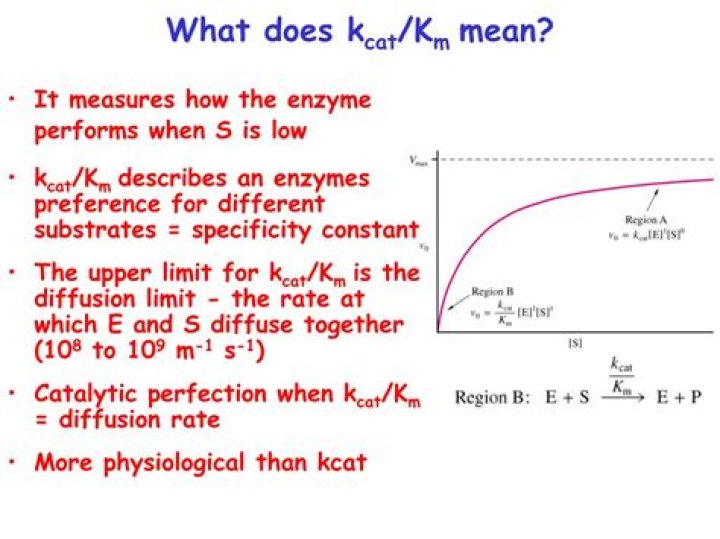 What does a large kcat mean