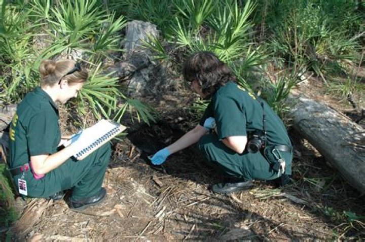 What does a medicolegal death investigator do