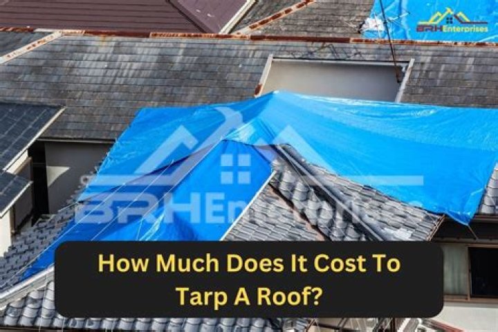 What does a tarp cost