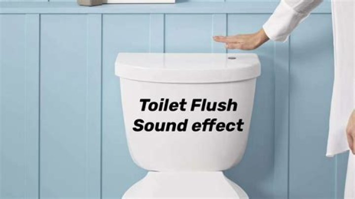 What does a toilet flush sound like