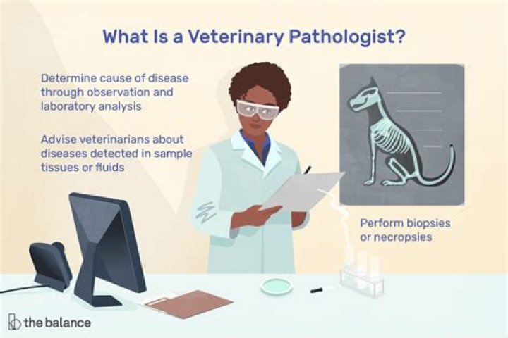 What does a veterinary clinical pathologist do
